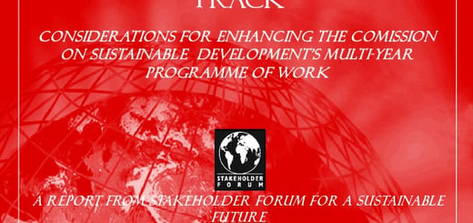 stakeholder-forum-report-strengthening-the-johannesburg-implementation-track