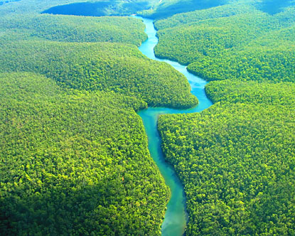 ECOSOC_project_image