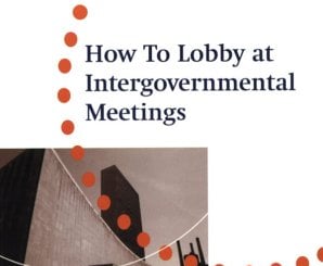 howtolobbyintergovernmentalmeetings