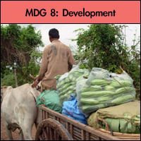 mdg8
