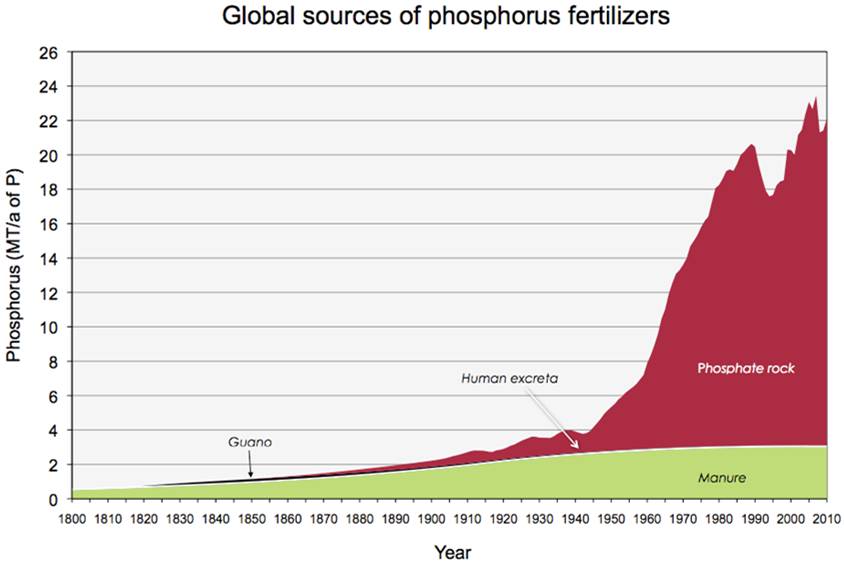 phosphorous