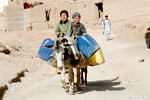Afghanistan-donkey150