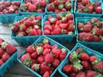 strawberryemail