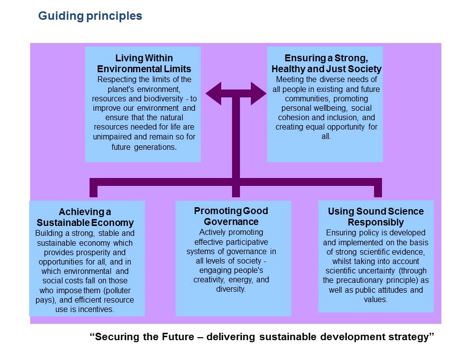Securing the Future - Guiding Principles 5 boxes jpeg